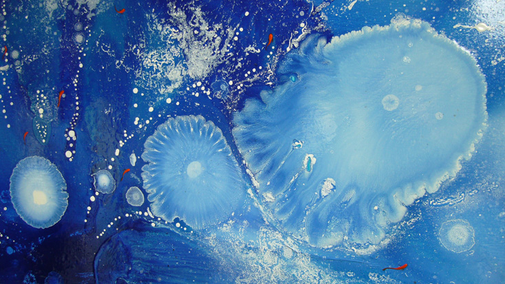 big_bang_splash_detail_meduses